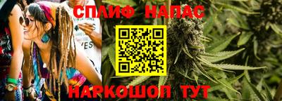 гидропоника Можга