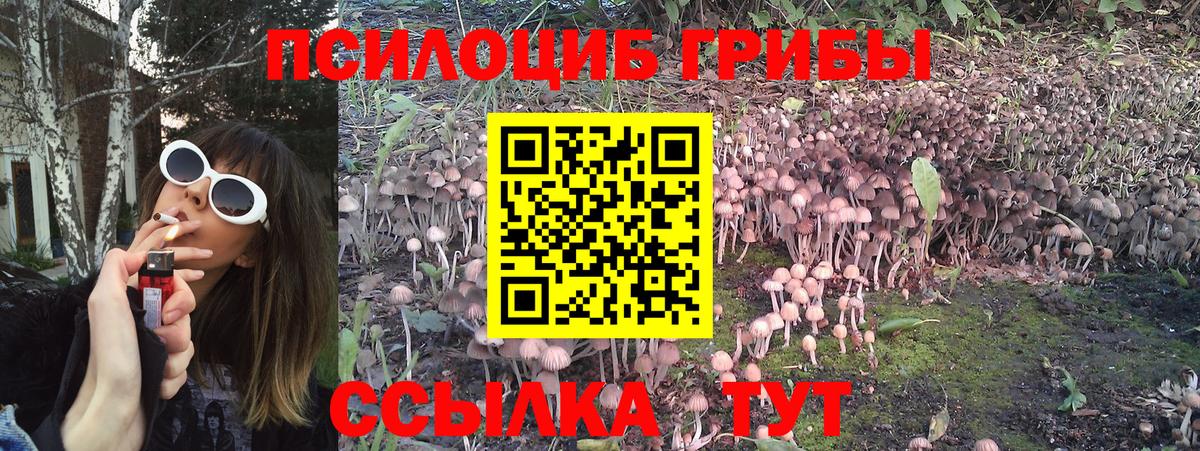 Псилоцибиновые грибы мухоморы Сергиев Посад
